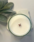 Holiday Frost Non-Toxic Scented Candle