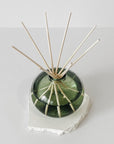 Hand Blown Glass Reed Diffuser